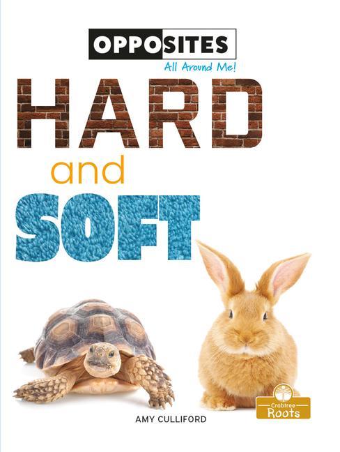 Kniha Hard and Soft 