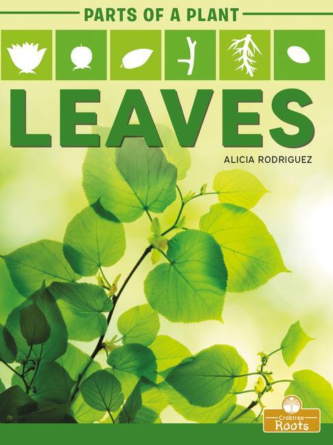 Βιβλίο Leaves Alicia Rodriguez