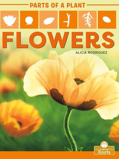 Book Flowers Alicia Rodriguez