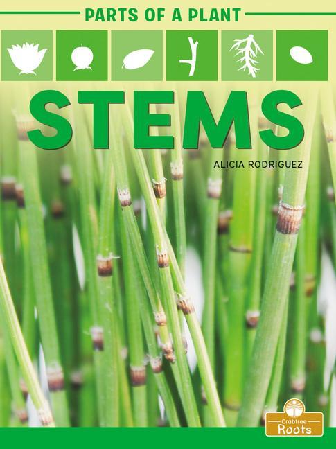 Knjiga Stems 