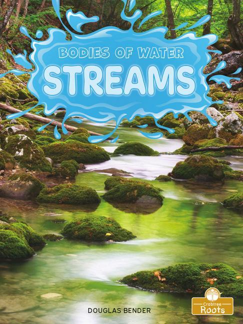 Book Streams Douglas Bender