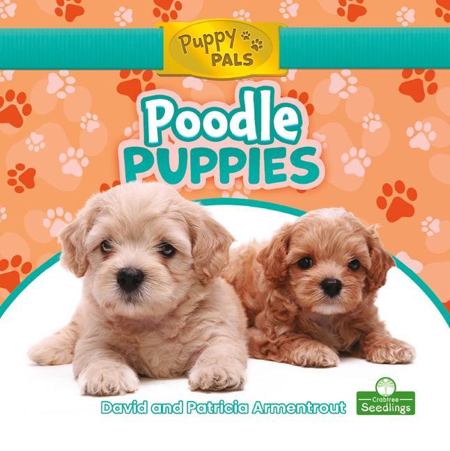 Buch Poodle Puppies Patricia Armentrout