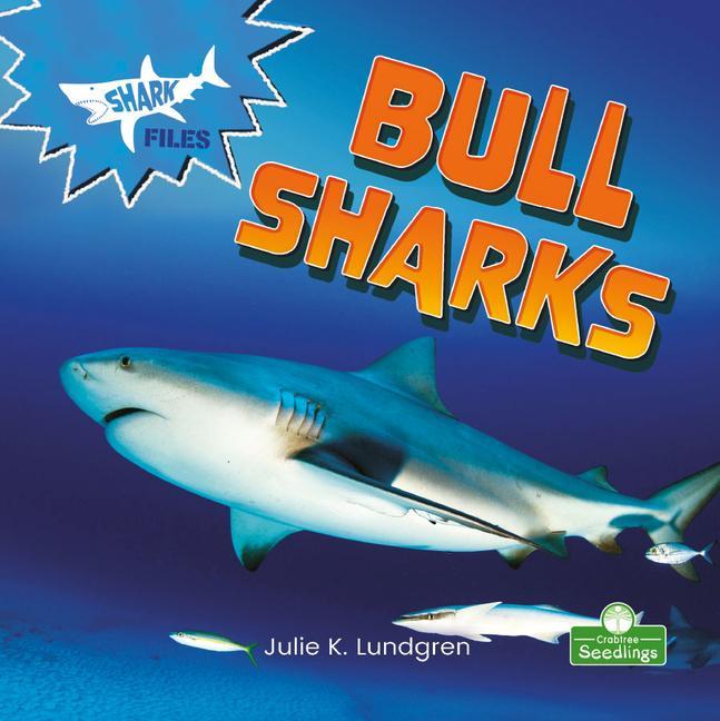 Knjiga Bull Sharks Julie K. Lundgren
