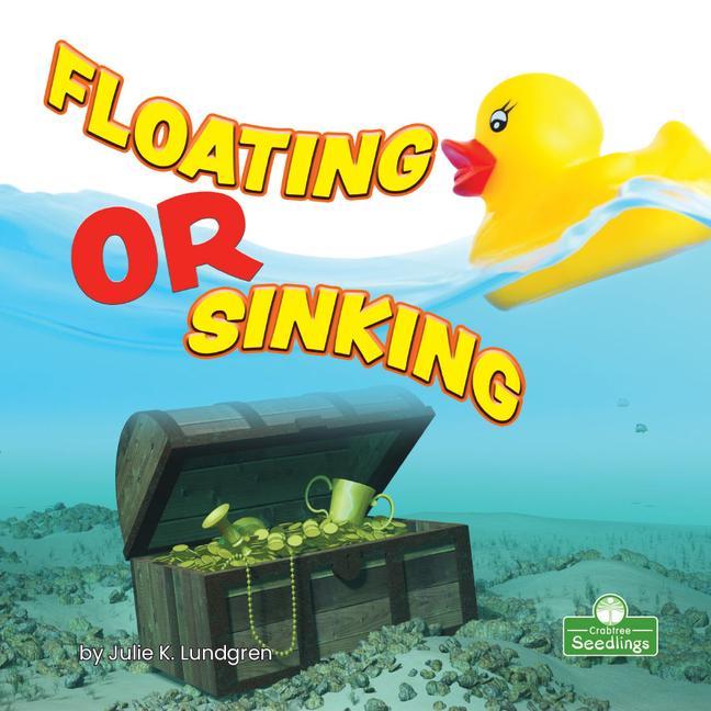Knjiga Floating or Sinking Julie K. Lundgren