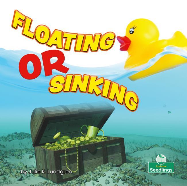 Knjiga Floating or Sinking Julie K. Lundgren
