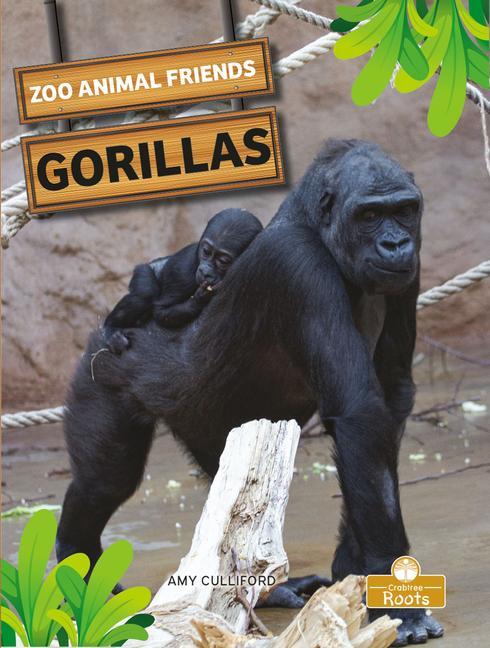 Buch Gorillas Amy Culliford