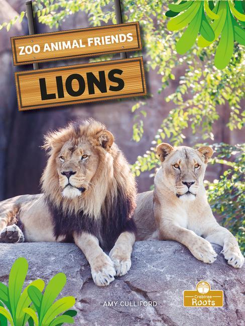 Libro Lions Amy Culliford