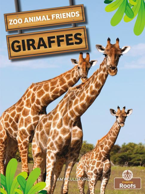 Buch GIRAFFES Amy Culliford