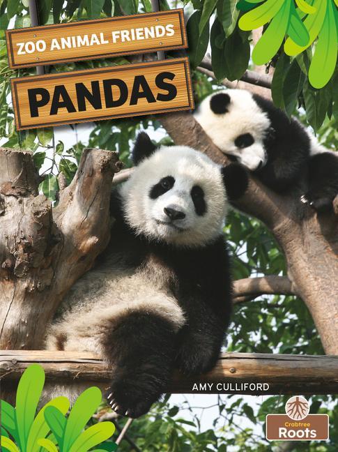 Knjiga PANDAS Amy Culliford