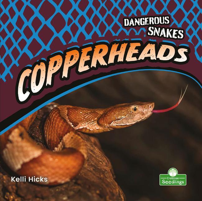 Knjiga Copperheads Kelli Hicks