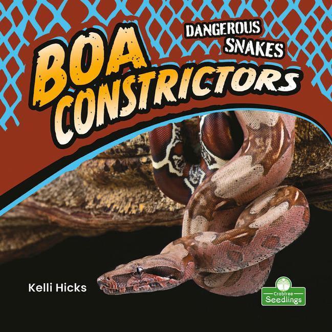 Knjiga Boa Constrictors Kelli Hicks