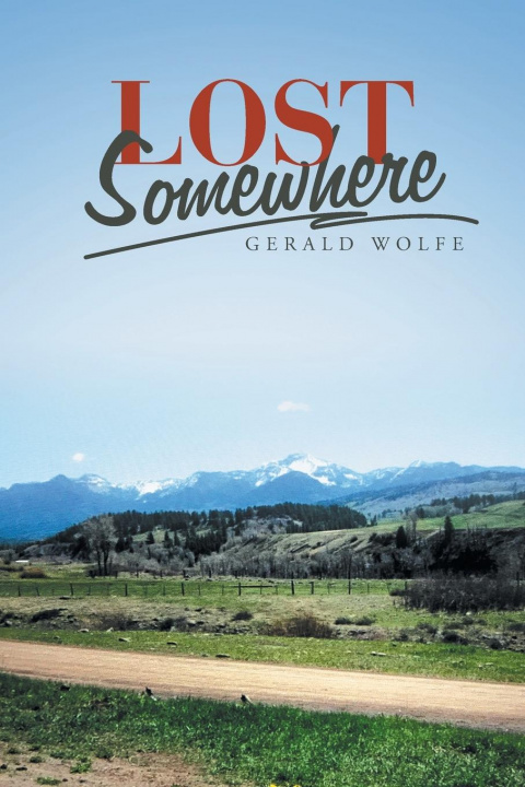 Knjiga Lost Somewhere Gerald Wolfe