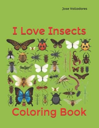 Kniha I Love Insects JOSE VALLADARES
