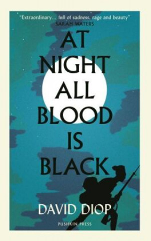 Książka At Night All Blood is Black Anna Moschovakis
