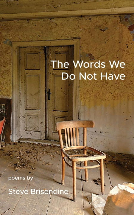 Книга Words We Do Not Have STEVE BRISENDINE
