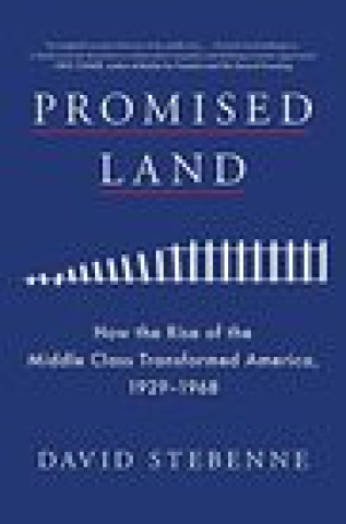 Buch Promised Land David Stebenne