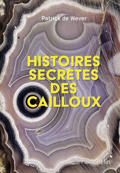 Kniha Histoires secrètes de cailloux De wever patrick