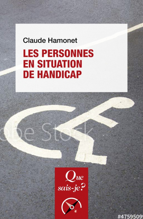 Βιβλίο Les Personnes en situation de handicap Hamonet claude