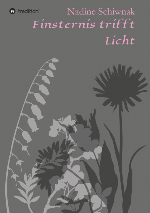 Boek Finsternis trifft Licht Nadine Schiwnak