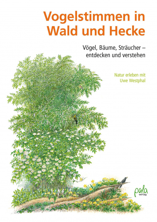 Книга Vogelstimmen in Wald und Hecke 