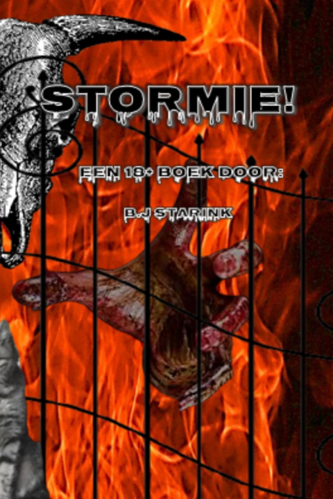Knjiga Stormie! Starink