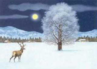 Calendar / Agendă Zauberhafte Winternacht  Adventskalender 
