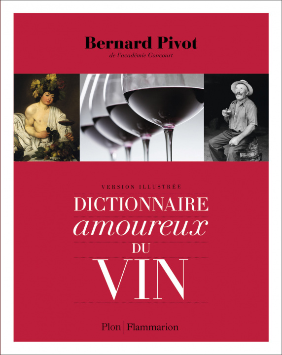 Kniha Dictionnaire amoureux du vin Bernard Pivot