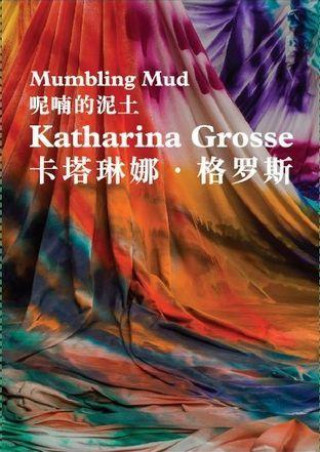 Kniha Katharina Grosse 