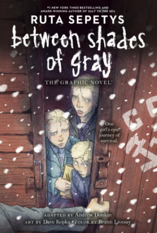 Kniha Between Shades of Gray Andrew Donkin