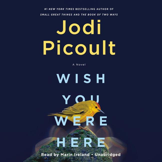 Zvok Wish You Were Here Jodi Picoult