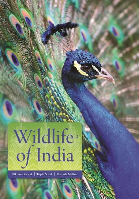 Książka Wildlife of India 