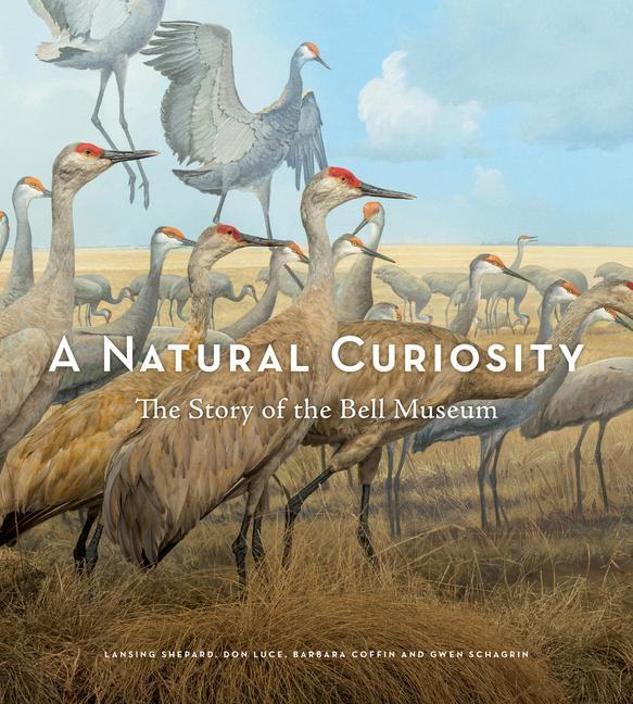 Könyv Natural Curiosity Don Luce