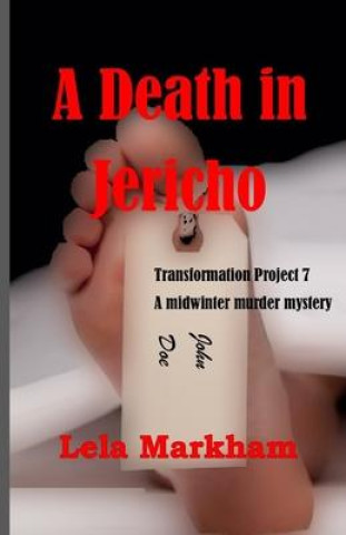 Kniha A Death in Jericho Lauri Sliney