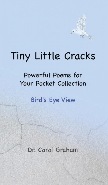 Knjiga Tiny Little Cracks Carol Graham