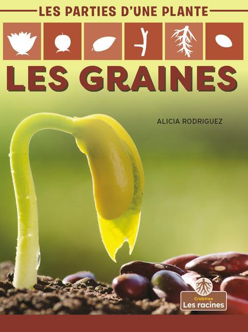 Book Les Graines (Seeds) Annie Evearts