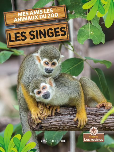 Buch Les Singes (Monkeys) Annie Evearts