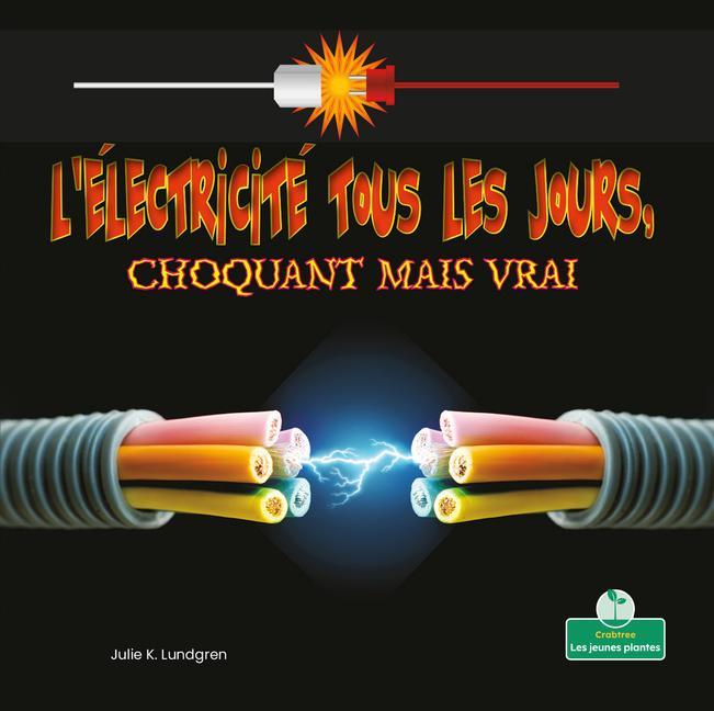 Книга L'Électricité Tous Les Jours, Choquant Mais Vrai (Everyday Electricity, Shocking But True) Annie Evearts