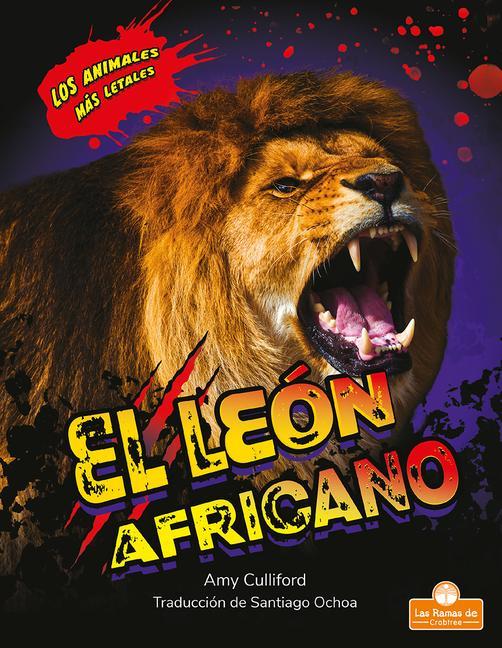 Knjiga El León Africano (African Lion) Santiago Ochoa