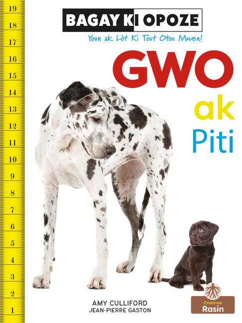 Kniha Gwo AK Piti (Big and Small) Jean Pierre Gaston