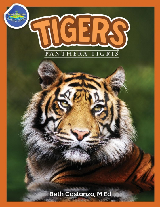 Carte Tigers, Panthera Tigris ages 2-4 