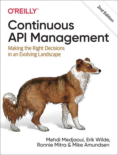 Книга Continuous API Management Erik Wilde