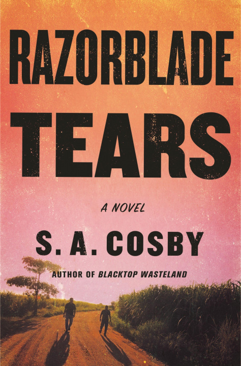 Knjiga Razorblade Tears 