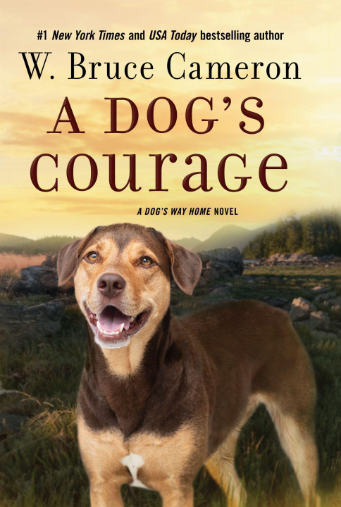 Kniha Dog's Courage 