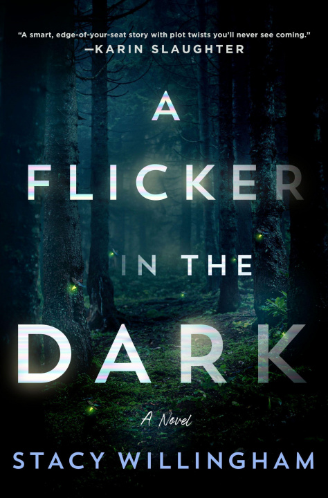 Kniha A Flicker in the Dark 