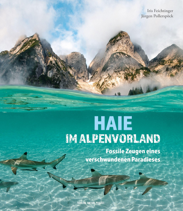 Kniha Haie im Alpenvorland Jürgen Pollerspöck