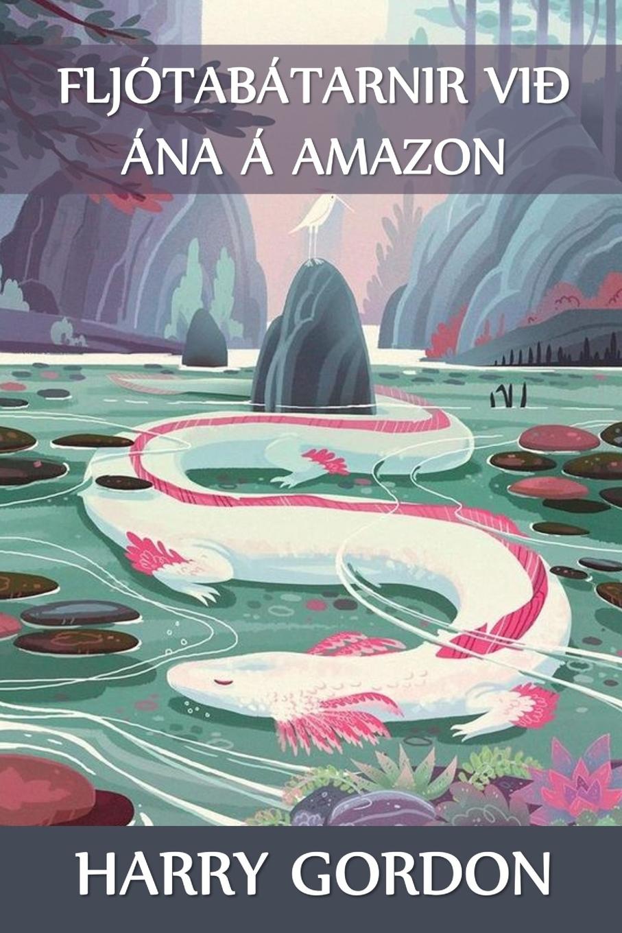 Kniha Fljotabatarnir vid ana a Amazon 