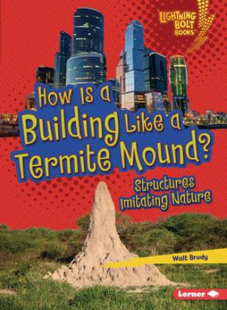 Boek How Is a Building Like a Termite Mound? Walt Brody