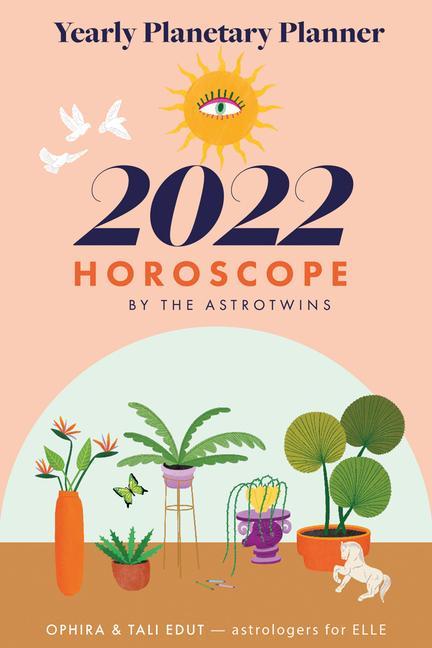 Könyv AstroTwins' 2022 Horoscope Tali Edut