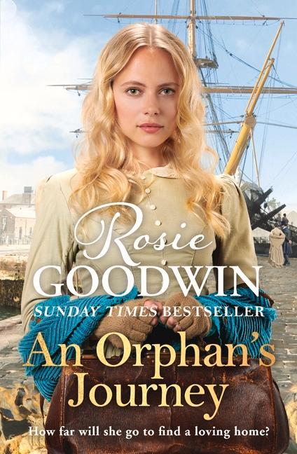 Knjiga An Orphan's Journey Rosie Goodwin