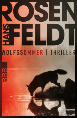 Kniha Wolfssommer Ursel Allenstein